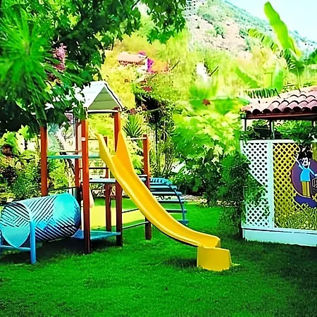 Perdikia 3*